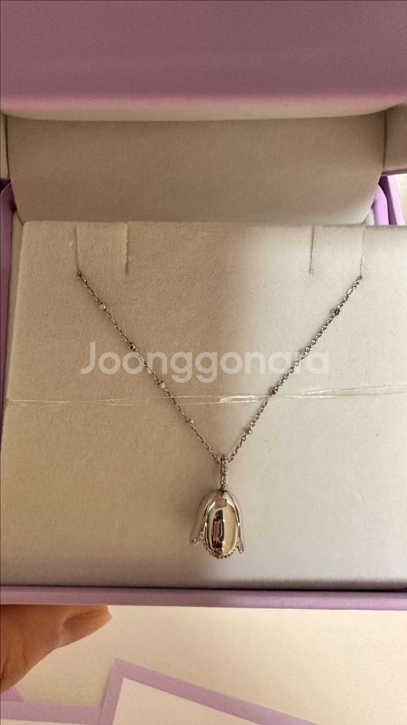 골든듀 듀레이디벨+리큐브 16 일괄--6