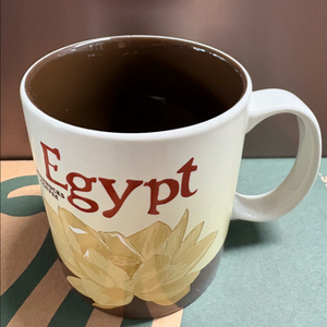 스타벅스 이집트 시티머그 시티컵 새상품