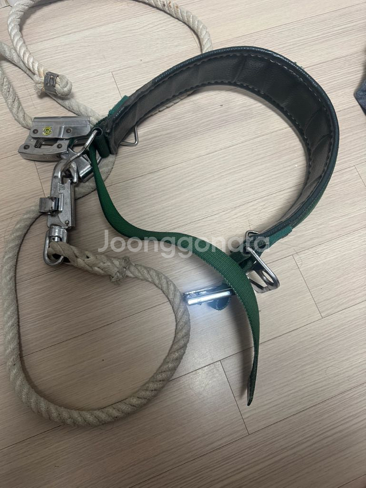 유신 주상안전대--0