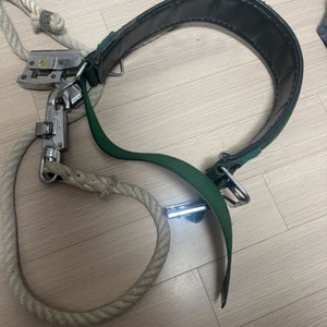 유신 주상안전대