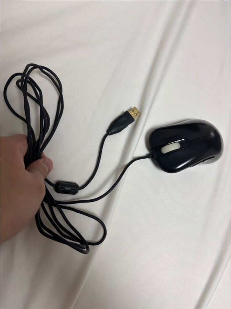 Zowie Gear EC2-A 게이밍 마우스--1