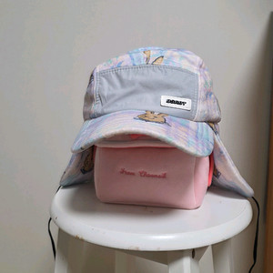 비에스레빗 보드모자