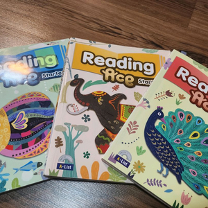 리딩 에이스 스타터 팝니다