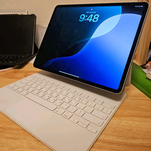 아이패드 프로 12.9 6세대 256GB 셀룰러