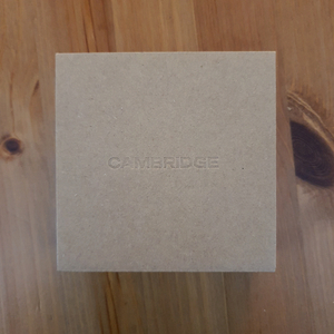 캠브리지오디오 멜로매니아 A100 노이즈캔슬링 블루투스 이어폰