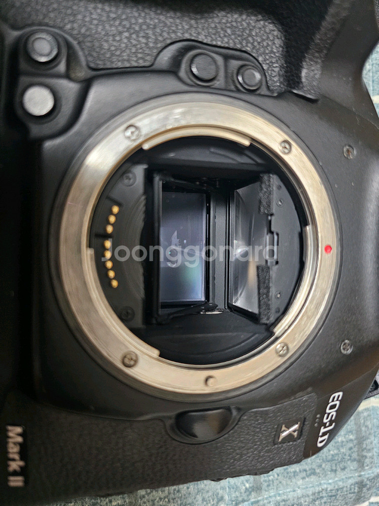 캐논 EOS - 1DX Mark II 카메라 팔아요--1