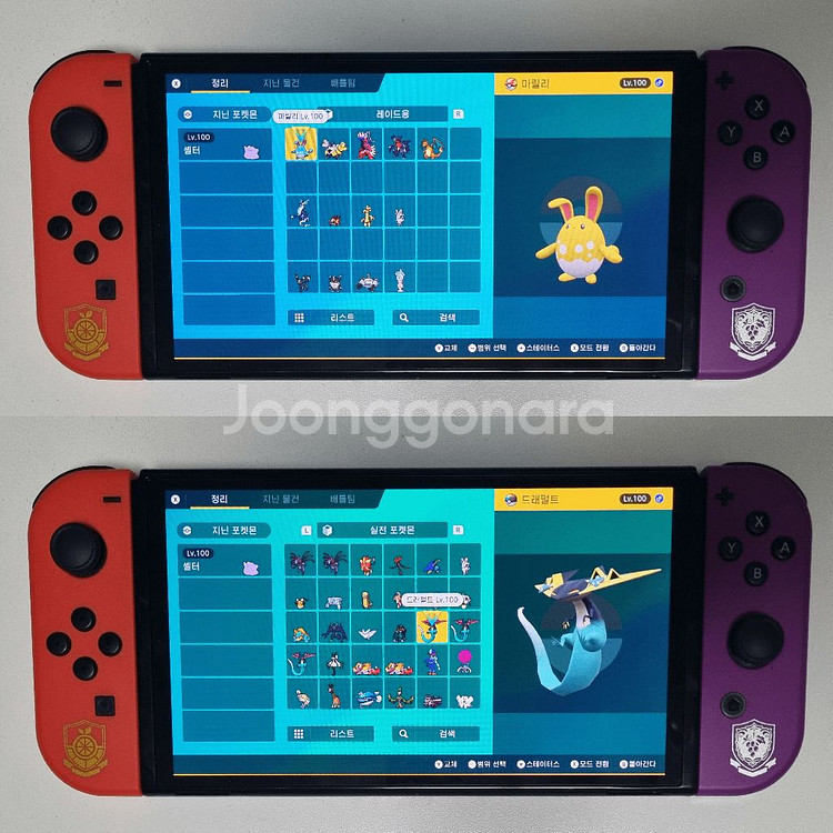 스칼렛 바이올렛 / 이로치, 실전 레이드 포켓몬 분양소--1