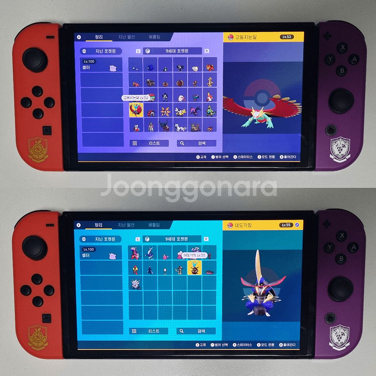 스칼렛 바이올렛 / 이로치, 실전 레이드 포켓몬 분양소--4