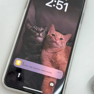 아이폰 XS MAX 64GB