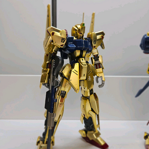 백식 2.0 외장제외 풀도색