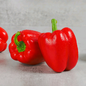 섯다 피망 한 방 쿠폰 삽니다