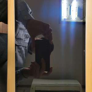 갤럭시탭 S9 플러스 256GB 실버 5G모델