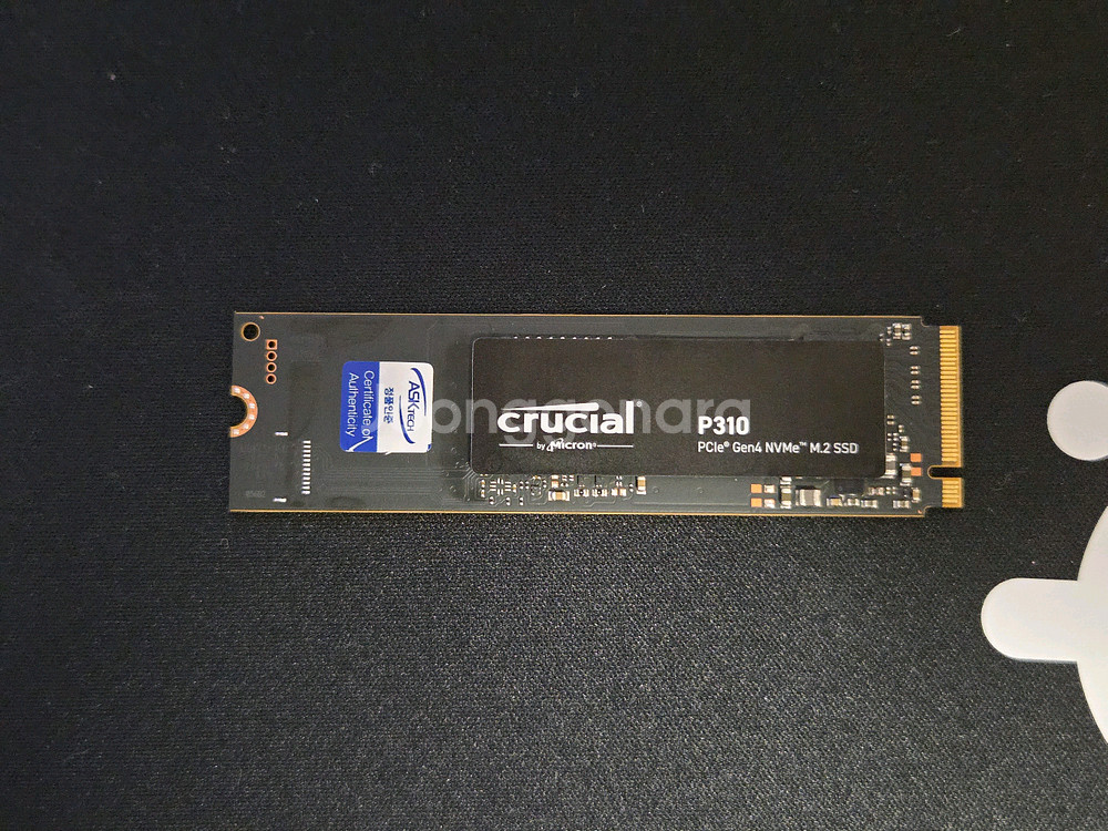 마이크로닉스 Crucial P310 1TB SSD 택포--1