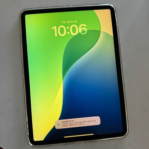 아이패드 프로 11인치 M1 125GB WiFi