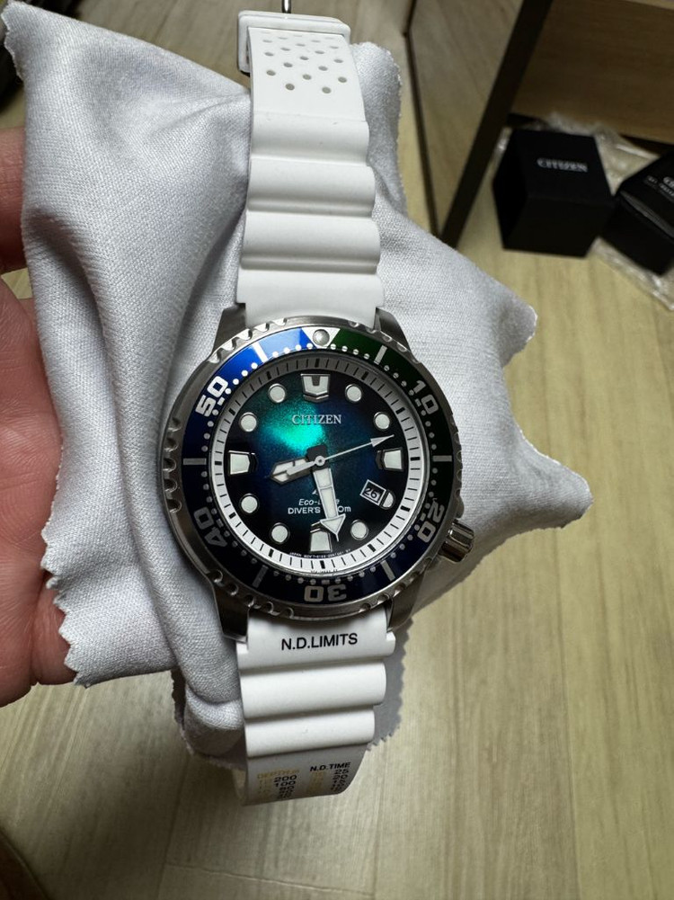 시티즌 다이버 BN0166-01L--2