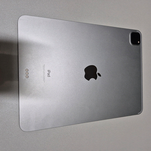 아이패드 프로 11인치 3세대 M1 256GB + 애플펜슬