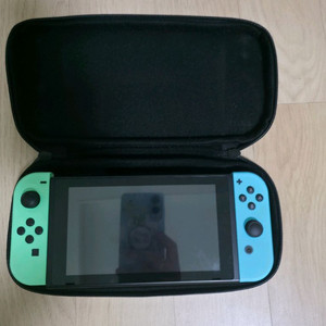 닌텐도 스위치 동숲 에디션