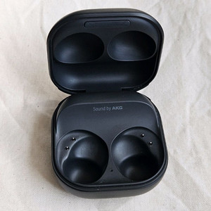 버즈2프로 그라파이트 충전본체 SM-R510