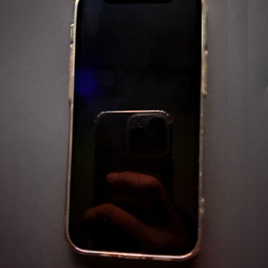 아이폰 12미니 128기가