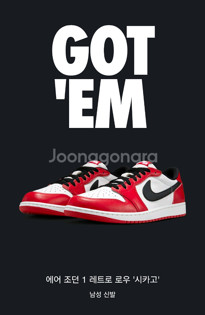 나이키 에어 조던 1 레트로 로우 시카고 280mm--0