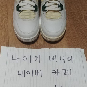[230] 조던4 흰초(클래식그린) 이미지