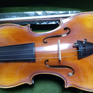 미텐바흐 MBV-250 (4/4) 바이올린 팝니다.