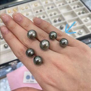 남양진주 타히티 AAA+ 14k 귀걸이 판매합니다