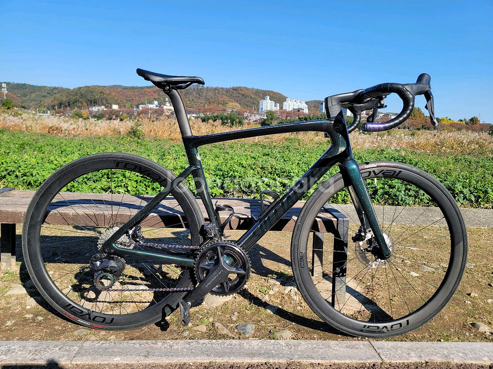 스페셜라이즈드 타막sl7 익스퍼트 로드 자전거--0