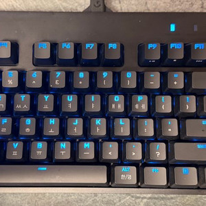 로지텍 G PRO GX BLUE 키보드