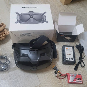 DJI FPV 고글 V2 팜(배터리,충전기 포함)