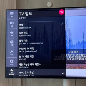 LG 올레드 TV OLED55BFNA(부품용,브라켓,리모컨)
