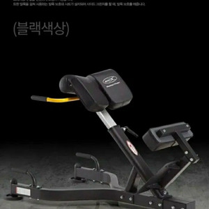 바디엑스 백익스텐션 로만체어 BK-3037
