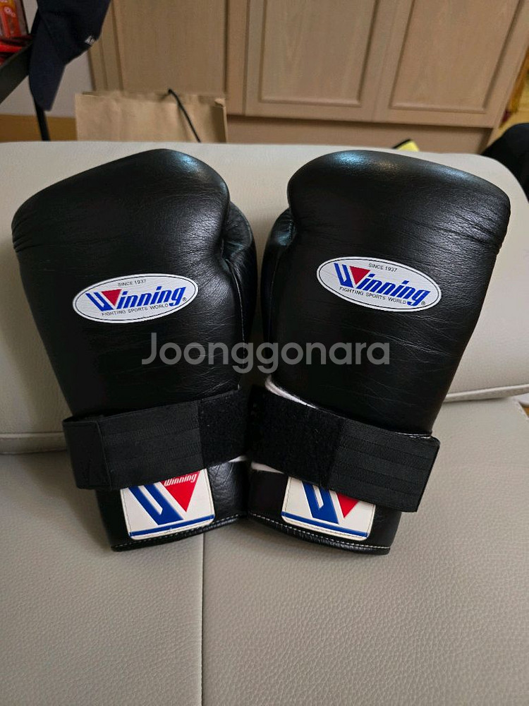위닝 14온스 블랙 레이스 복싱글러브--0
