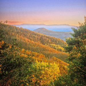 알렉스키토 전시관 도록 구합니다!