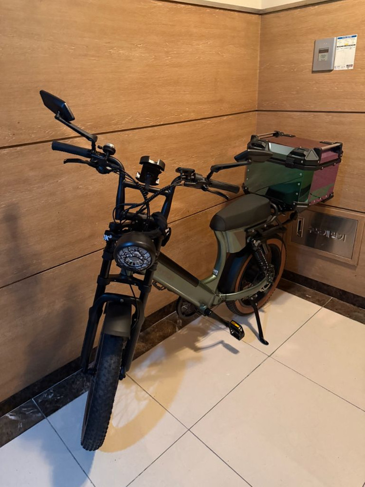 알톤 파이톤20 전기자전거 이미지