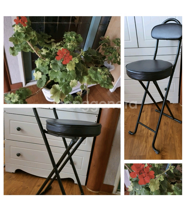 제라늄대품예쁘게4계절내내계속꽃이핌저렴히3만원그외바의자겸인테리어받침으로덤임--7