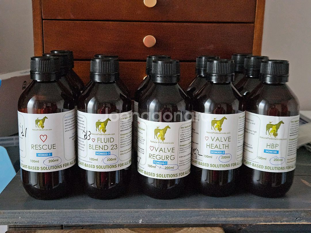 호주동종(심장병/신부전/고양이구내염/당뇨병)--0