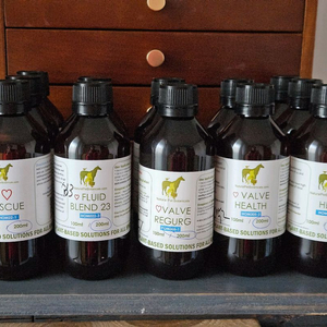 호주동종(심장병/신부전/고양이구내염/당뇨병)