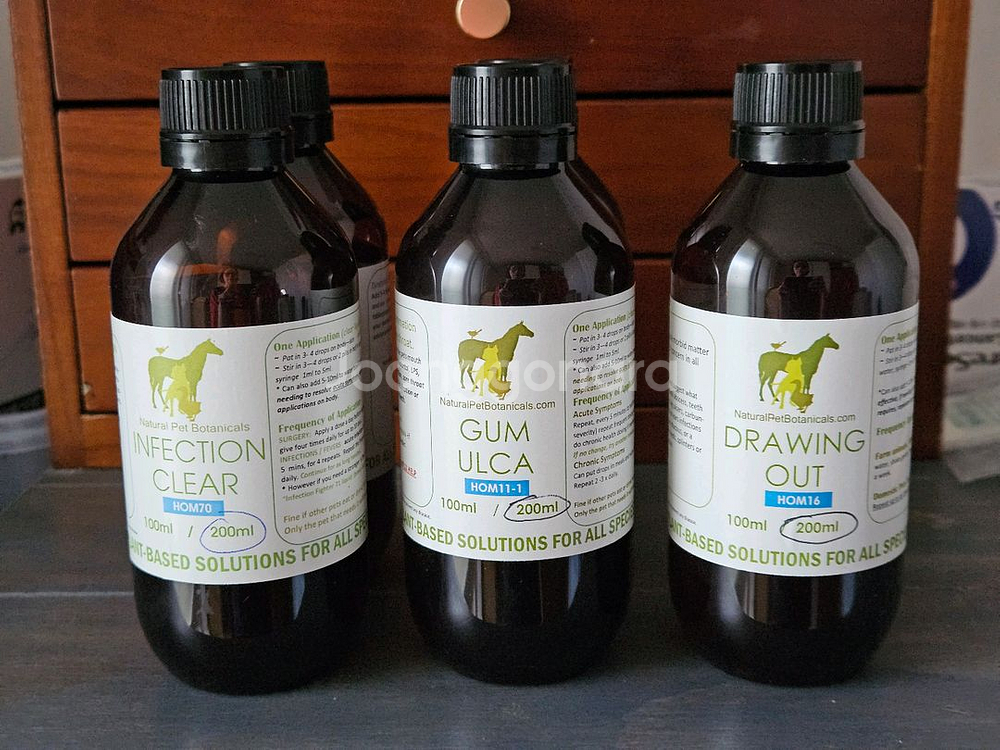 호주동종(심장병/신부전/고양이구내염/당뇨병)--2