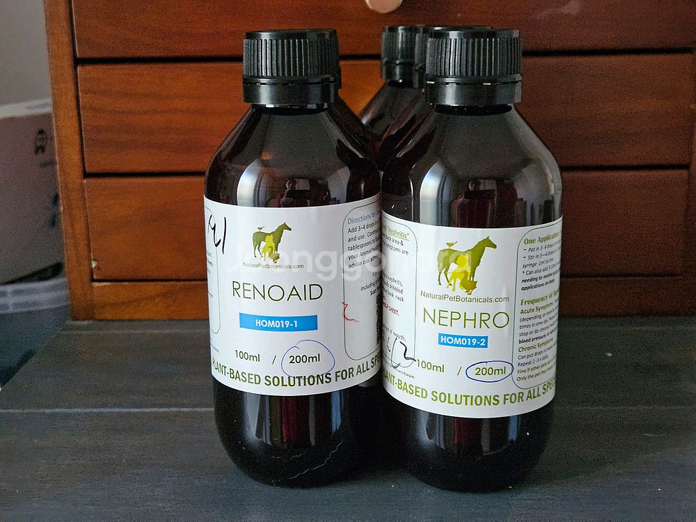 호주동종(심장병/신부전/고양이구내염/당뇨병)--1