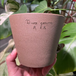 두갸르송 고화도 비올레 13