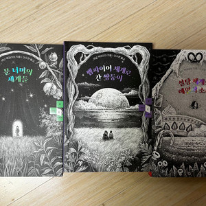 섀넌 맥과이어 판타지소설 시리즈 3권