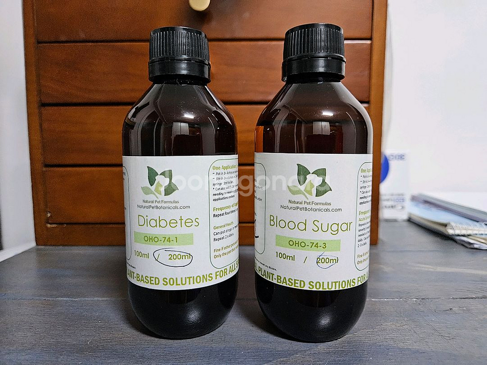 호주동종(심장병/신부전/고양이구내염/당뇨병)--3