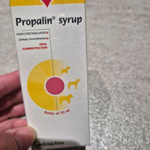 반려견 요실금 치료약