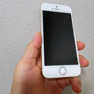 c60. 아이폰 SE 1세대 골드