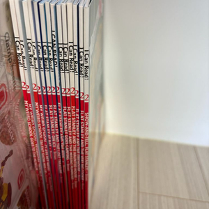 플랫 스탠리 10권, 마이 위어드 스쿨 4권