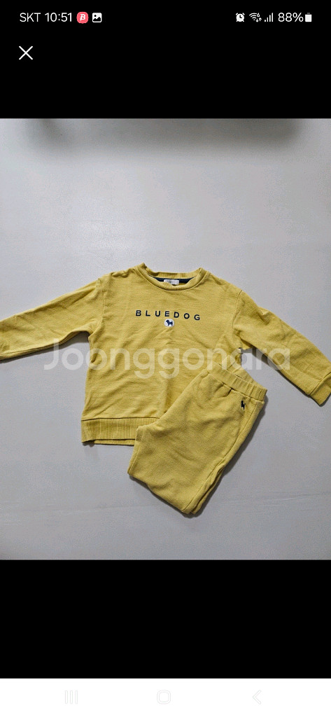 블루독 4세상하복 세트--0