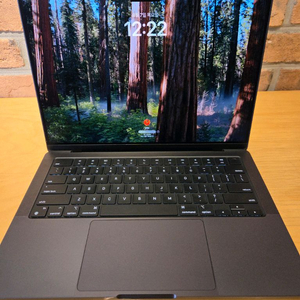 맥북프로 14 m4 max 32gpu 나노텍스쳐 이미지