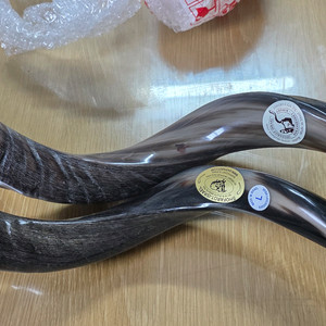 쇼파르 뿔나팔 입니다필요가 없어서 판매 코셔인증 품질