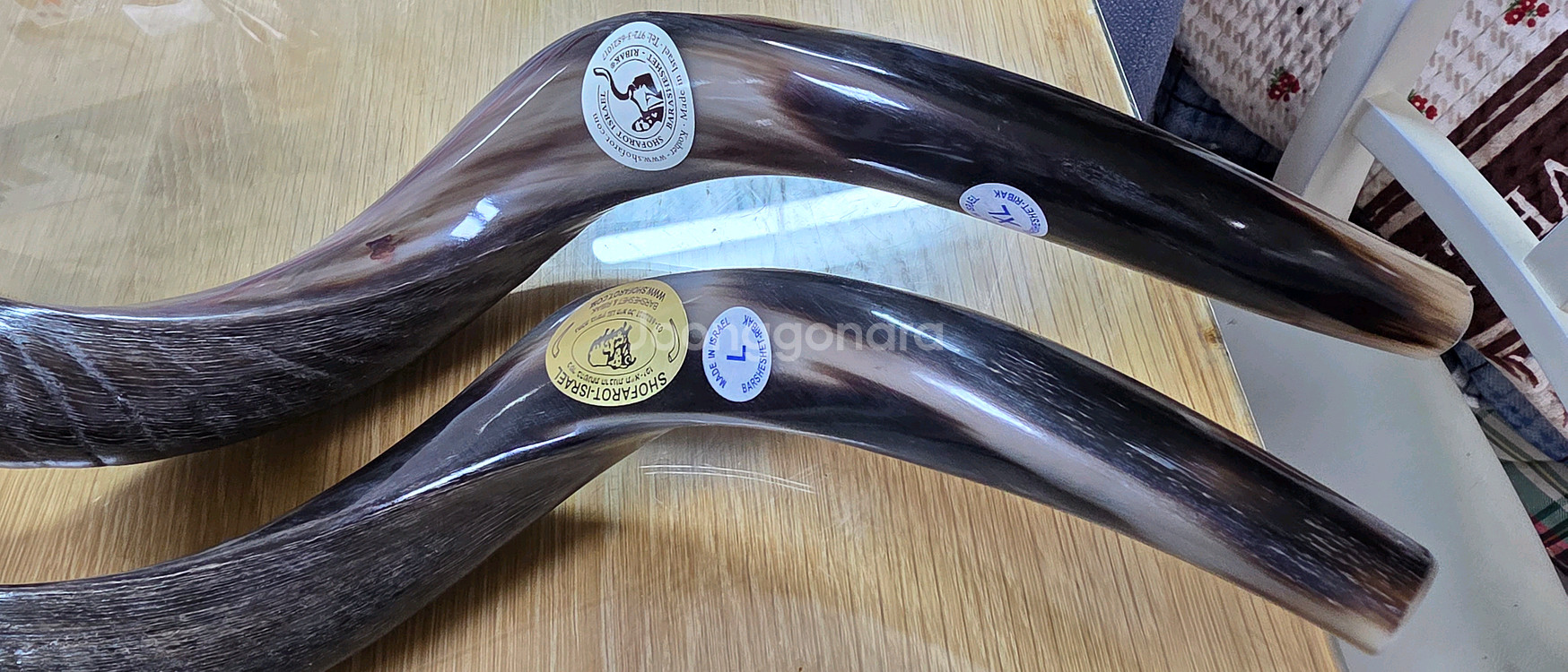 쇼파르 뿔나팔 입니다필요가 없어서 판매 코셔인증 품질--1
